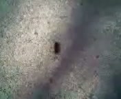 CPillar thumbnail
