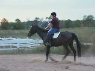 DaveHorseTits thumbnail